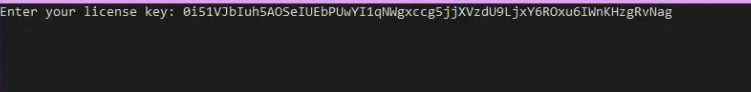 Loader command-line window prompting for the license key.